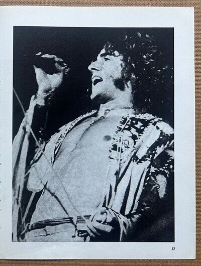 ROGER DALTREY - 1971 full page UK music annual poster THE WHO